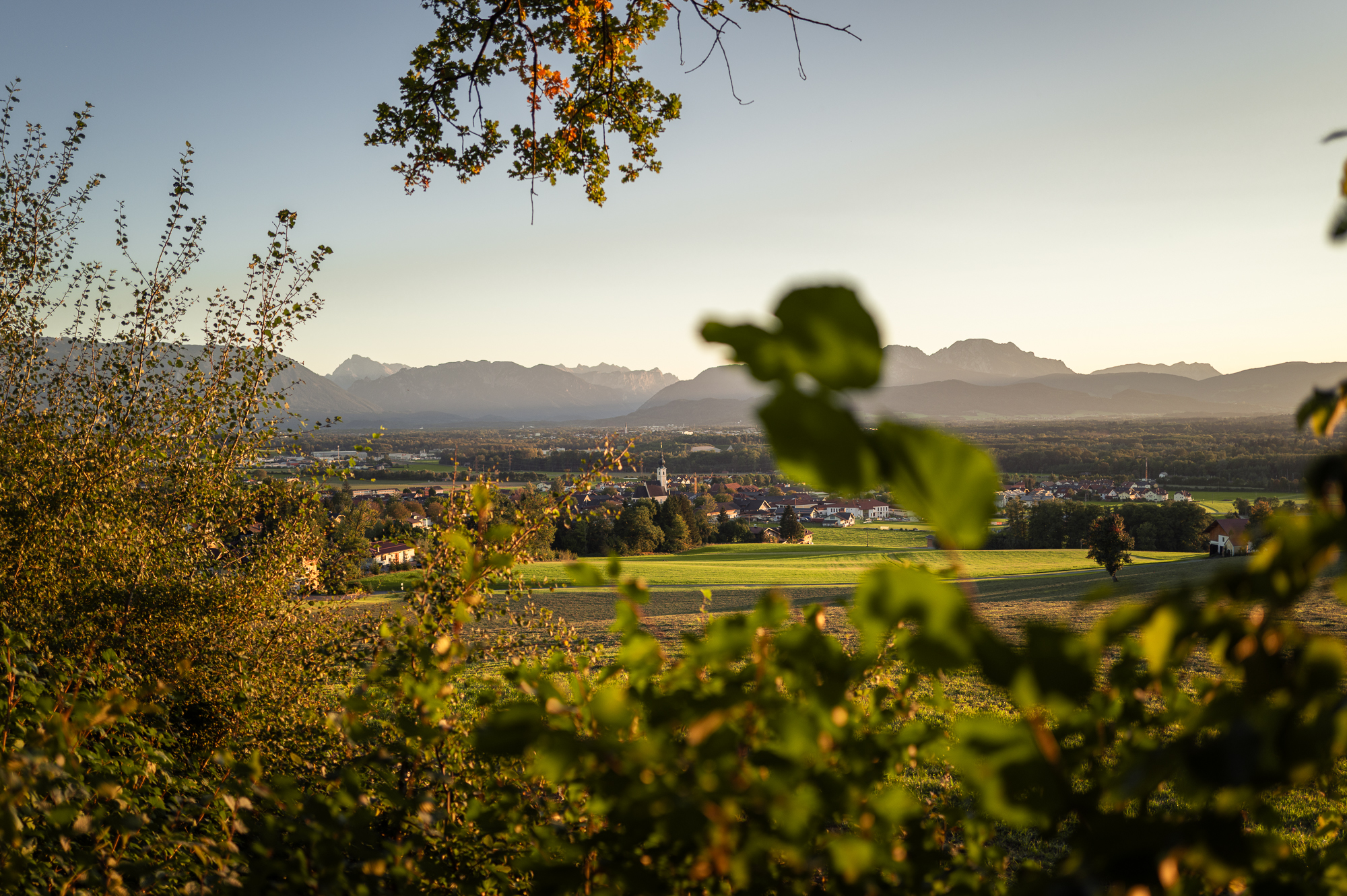 Blick auf Anthering mit Alpenpanorama