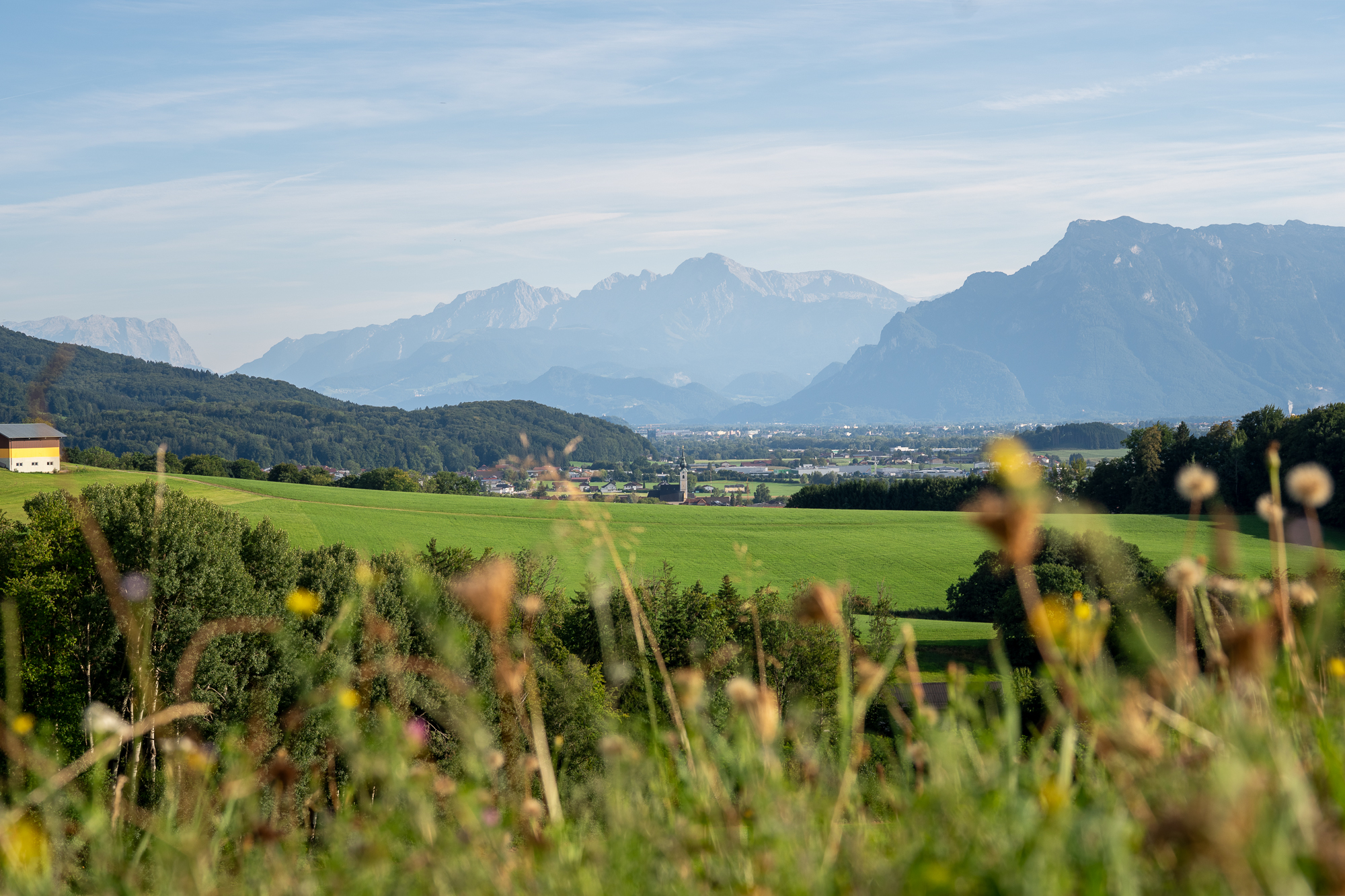 Sommer in Anthering