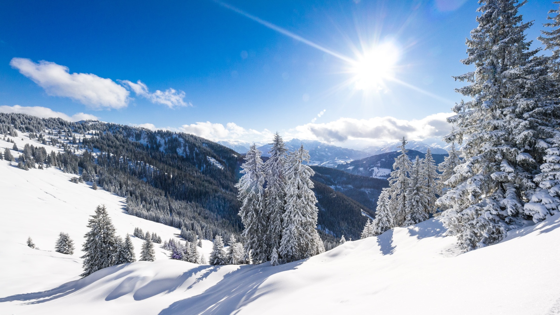 Winter in Anthering